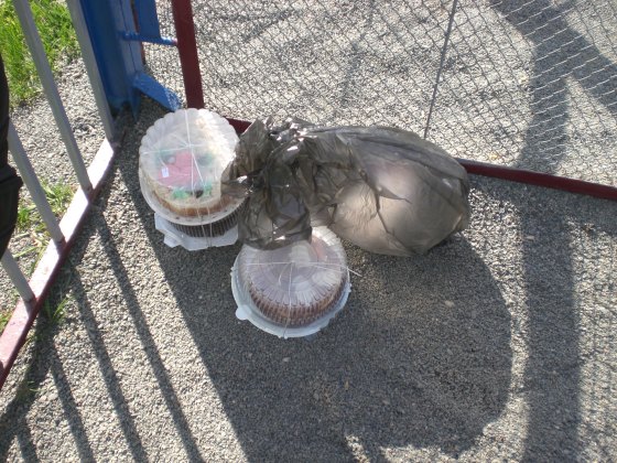 zabej_moskovskij_2_26_04_08_36.JPG