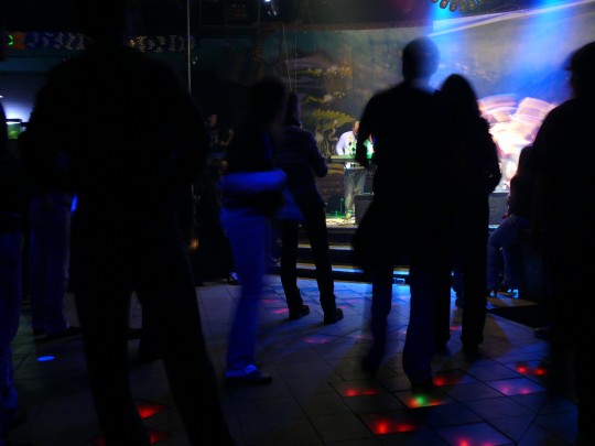 zabej_koncert_2_05_12_08_31.JPG