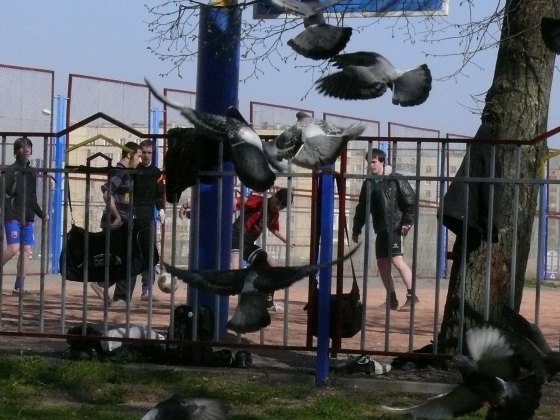 zabej_moskovskij_1_26_04_08_27.JPG