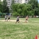 zabej_rechical_11_07_09_8.jpg