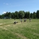 zabej_rechical_11_07_09_18.jpg