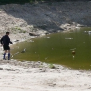 zabej_gomel_2_01_06_08_32.JPG