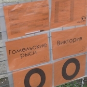zabej_gomel_1_20_04_08_16.JPG