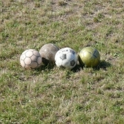 zabej_grodno_2_1_05_08_08_4.JPG