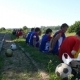 zabej_grodno_2_1_05_08_08_37.JPG