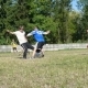 zabej_grodno_2_1_05_08_08_40.JPG