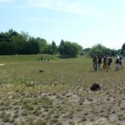 zabej_grodno_2_2_05_08_08_31.JPG
