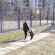 zabej_zima_final_09_03_08_35.jpg