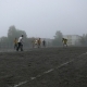 zabej_respublika_final_1_04_10_08_35.JPG