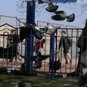 zabej_moskovskij_1_26_04_08_27.JPG
