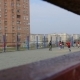 zabej_frynzenskij_1_06_04_08_27.jpg