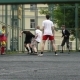 zabej_mogilev_2_200609_22.JPG