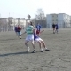 zabej_minsk_1tur_130409_25.JPG
