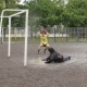 zabej_minsk_4tur_2_13_06_09_14.jpg