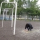 zabej_minsk_4tur_2_13_06_09_19.jpg