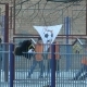 minsk_exstrim_24_12_07_39.jpg
