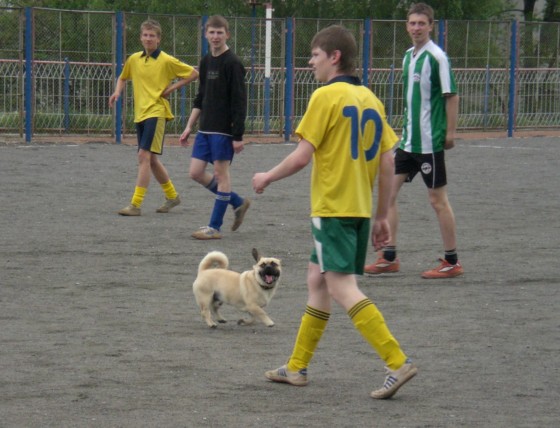 minsk_moskovskij_d1_p1_19_05_07_26.jpg