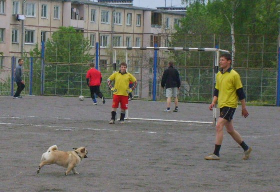 zabej_vneochered_151006_11.jpg