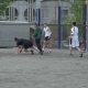 minsk_moskovskij_d1_p2_19_05_07_10.jpg