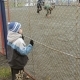 minsk_zimnij_1_31_01_07_21.jpg