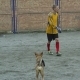 zabej_moskovskij_2_011006_10.jpg