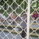 zabej_leninskij_1_290706_14.jpg