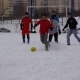zima_zabej_1_3_12.JPG
