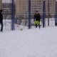 zima_zabej_1_3_29.JPG