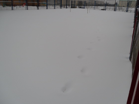 zabej_zima_31_01_2010_3.jpg