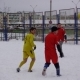 zima_zabej_10_01_2010_21.JPG