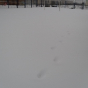 zabej_zima_31_01_2010_3.jpg
