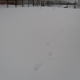 zabej_zima_31_01_2010_3.jpg