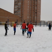 zabej_zima_31_01_2010_12.jpg