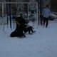 zabej_zima_07_02_2010_10.jpg