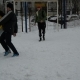 zabej_zima_21_02_2010_94.JPG
