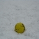 zabej_zima_21_02_2010_110.JPG