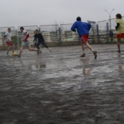 x_67297229.jpg