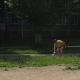 zabej.info_TP_vitebsk_28.05.2011_18.jpg