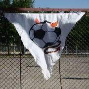 IMG_7982.JPG